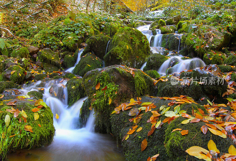 耶迪戈勒国家公园(Yedigoller National Park)的木制房子可以欣赏美丽的秋景。博鲁是土耳其西北部的一个省。